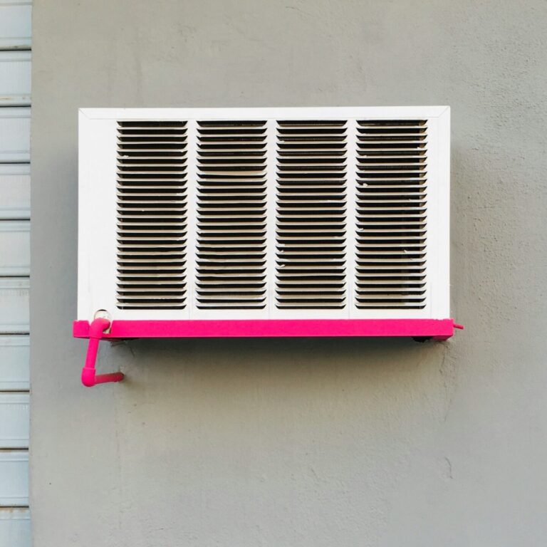 david-pisnoy-5tmWXVdRbUg-unsplash